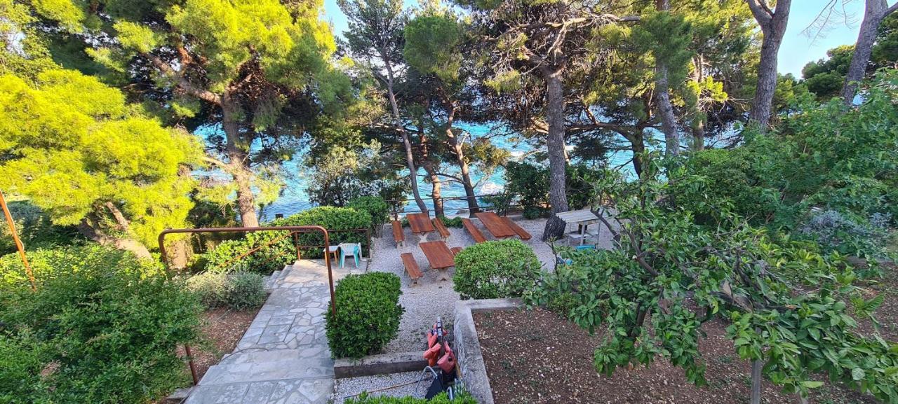 Apartments By The Sea Orebic, Peljesac - 16648 Eksteriør billede